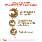 FHN AGEING 12+ - NUTRICION A LA MEDIDA